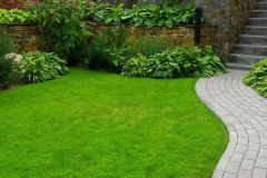 artificial-turf-and-natural-plants