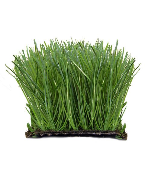 Изкуствена трева за футбол RealXtreme
